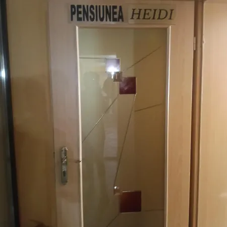 Casa Heidi 蒂米什瓦拉