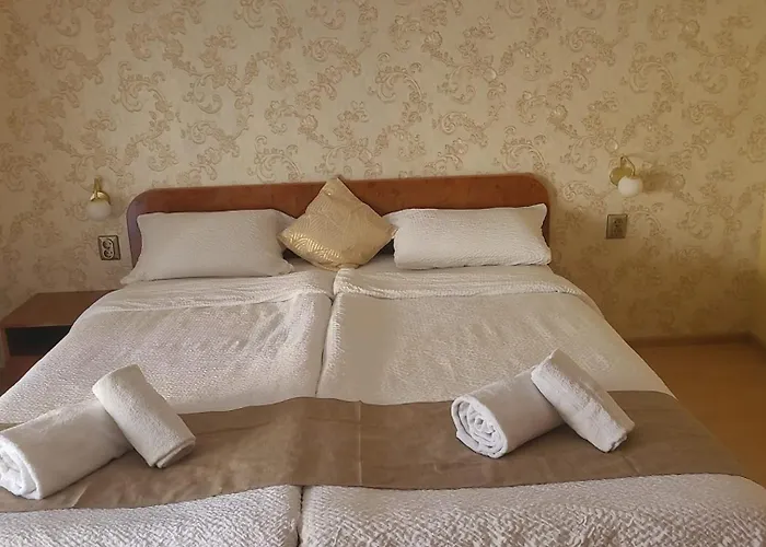 Penzion Casa Heidi Temešvár