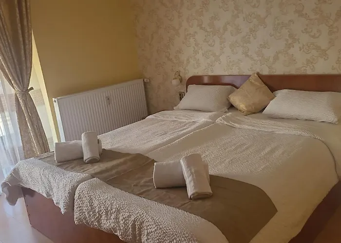 Casa Heidi Temešvár