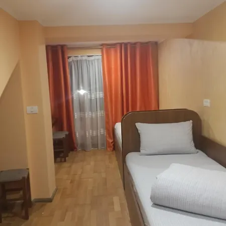 Casa Heidi Pensiune Timişoara