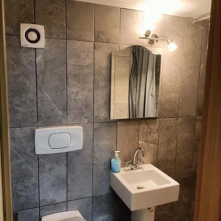 Casa Heidi Pensiune Timişoara