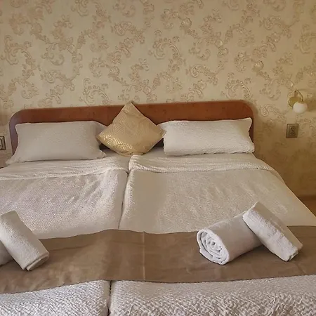 Pensionat Casa Heidi Timişoara