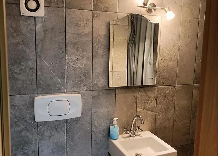 Casa Heidi Timişoara