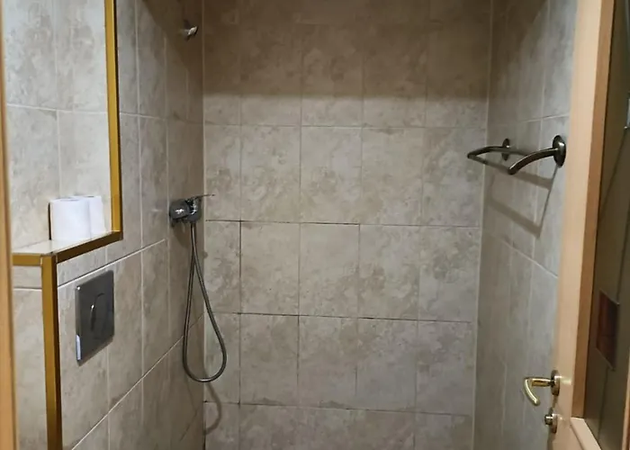 Casa Heidi 3* Timişoara