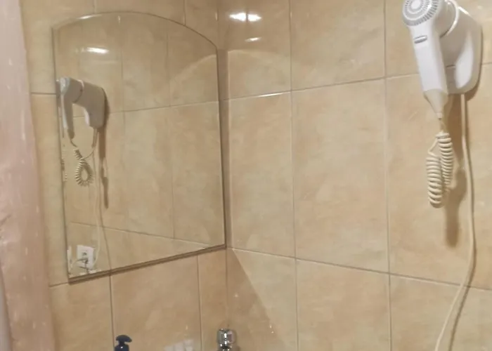 Pensionat Casa Heidi Timişoara