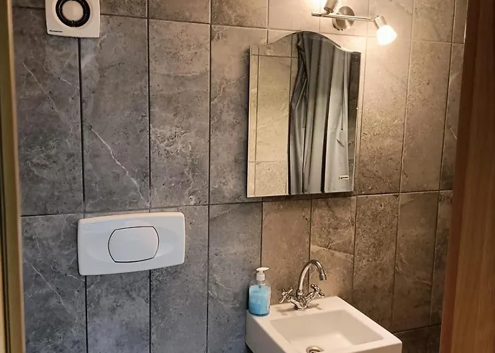 Casa Heidi Pensionat Timişoara