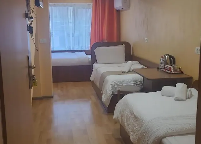 Casa Heidi Pensionat Timişoara